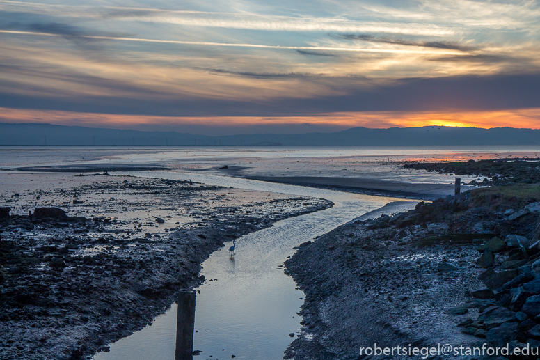 hayward regional shoreline